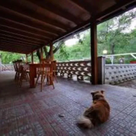 Bed and Breakfast B&b&beer